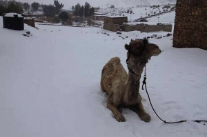 Snow covers the ground in the Middle East