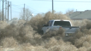 A truck attempts to plow through the tumbleweeds in Roswell, New Mexico