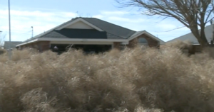 A home in Roswell, New Mexico buried under tons of tumbleweeds