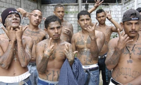 MS 13 Gang the most violent and dangerous gang in the U S Altered