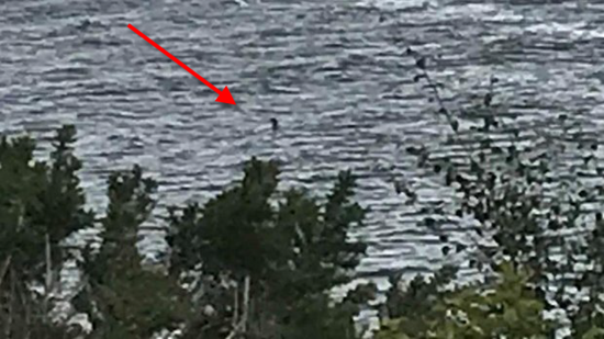 Purported photo of Ness (Loch Ness Monster) taken on August 17, 2018 - photo courtesy Charlotte Robinson